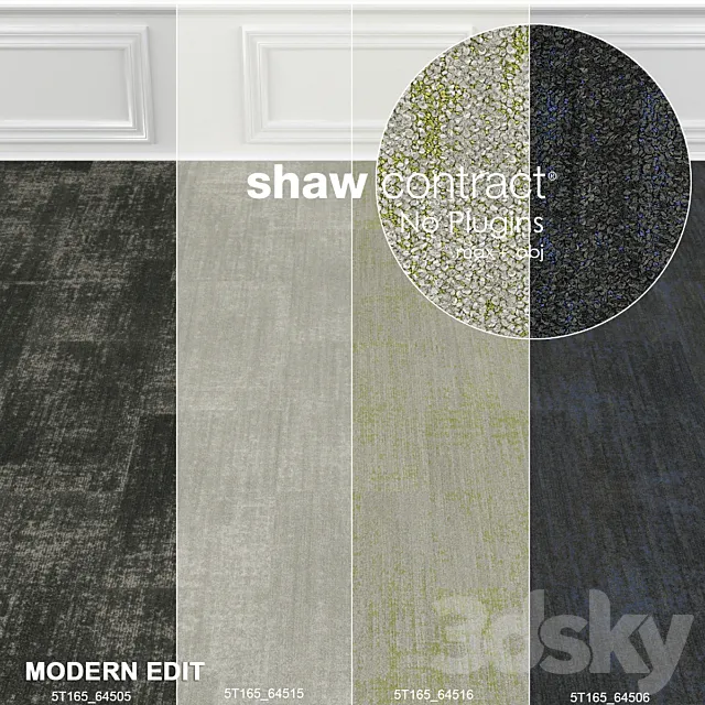 Shaw Carpet Intricate Wall to Wall Floor No 2 3DModel