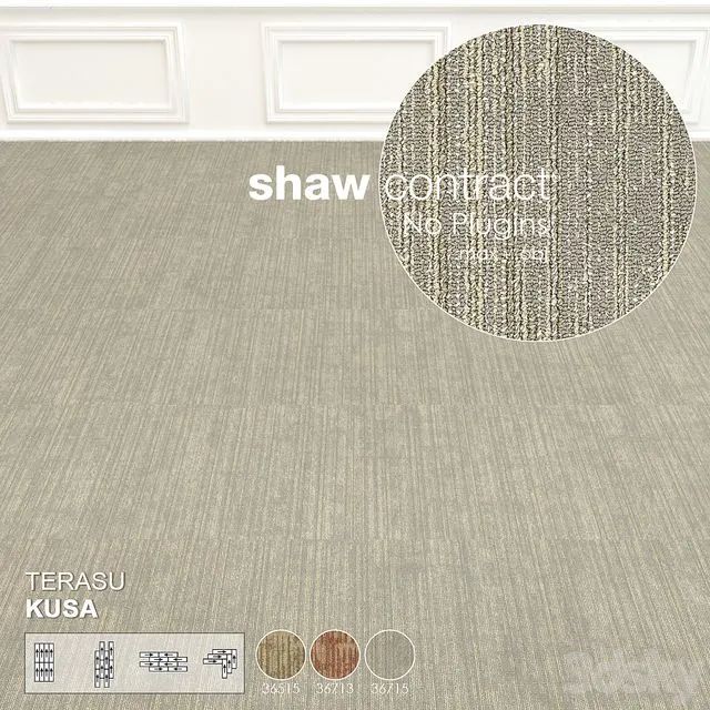 Shaw Carpet Terasu Kusa Wall to Wall Floor No 2 3D Model