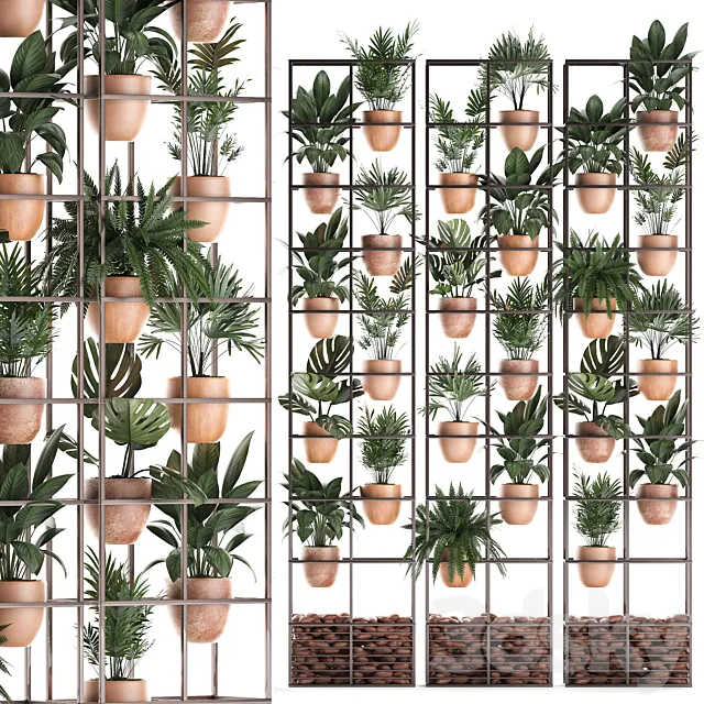 Shelf with flowers in clay pots vertical garden with fern palm monstera ficus shelving. Set of 30. 3D Model