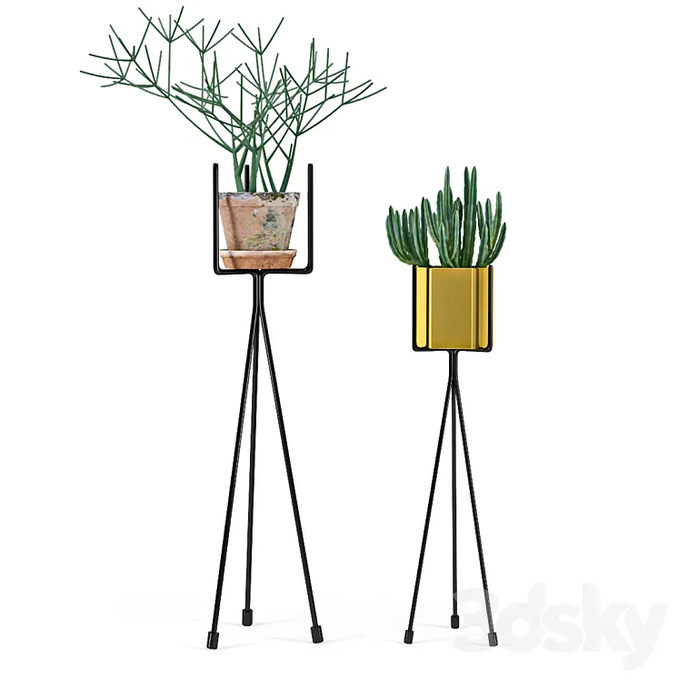 Shelf with Plants 3D Model Free