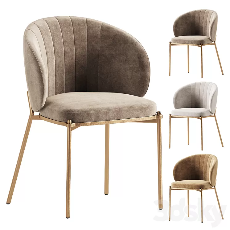 Shell Back Dining Chair 3D Model