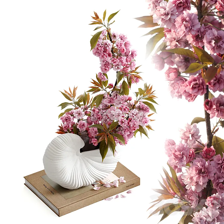 Shell Pot with Sakura Ferm Living Free Download
