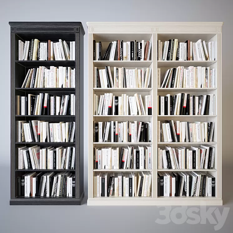 Shelves of books 3D Model