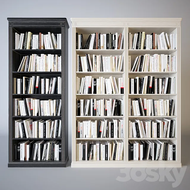 Shelves of books 3D Model