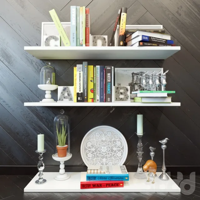 Shelves with books and decor 3D Model