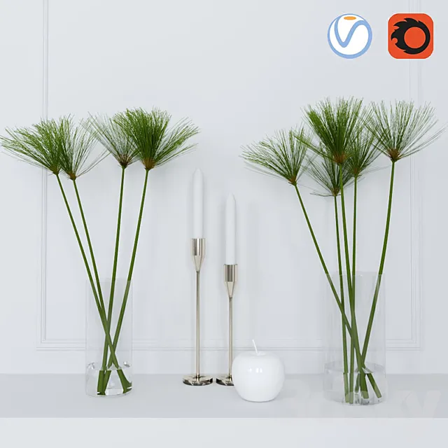 shoots of papyrus in a glass vase 3DModel