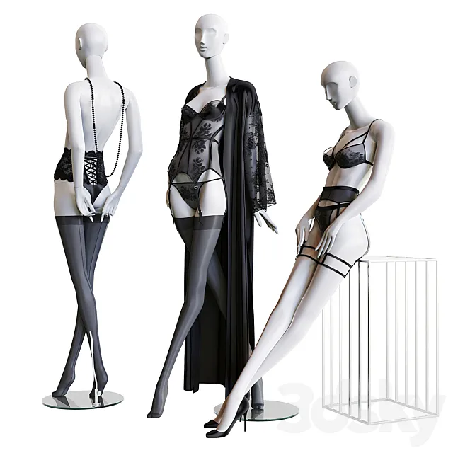 Shop underwear 02 3D Model