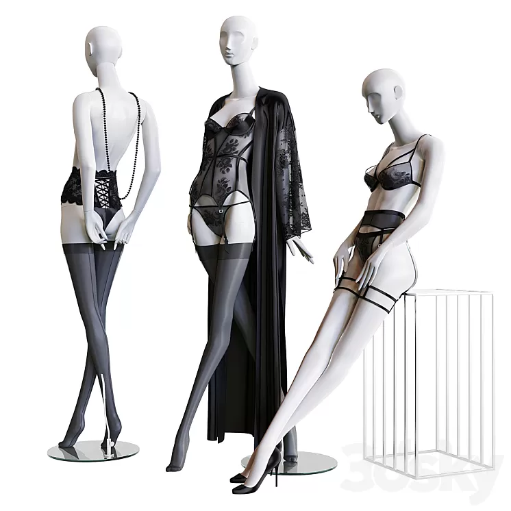 Shop underwear 02 3D Model Free