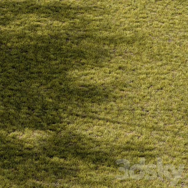 Short Grass Set 29 3D Model
