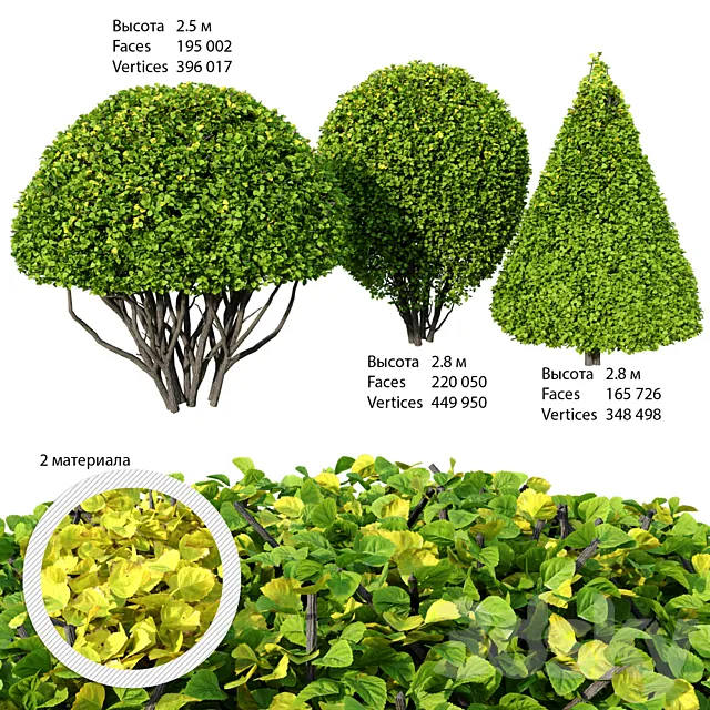 Shrubs 3D Model