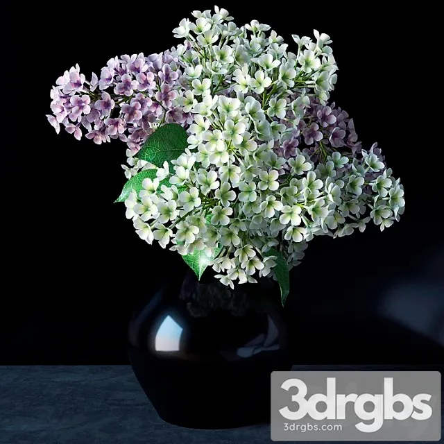 Sirien 4 3D Model Free