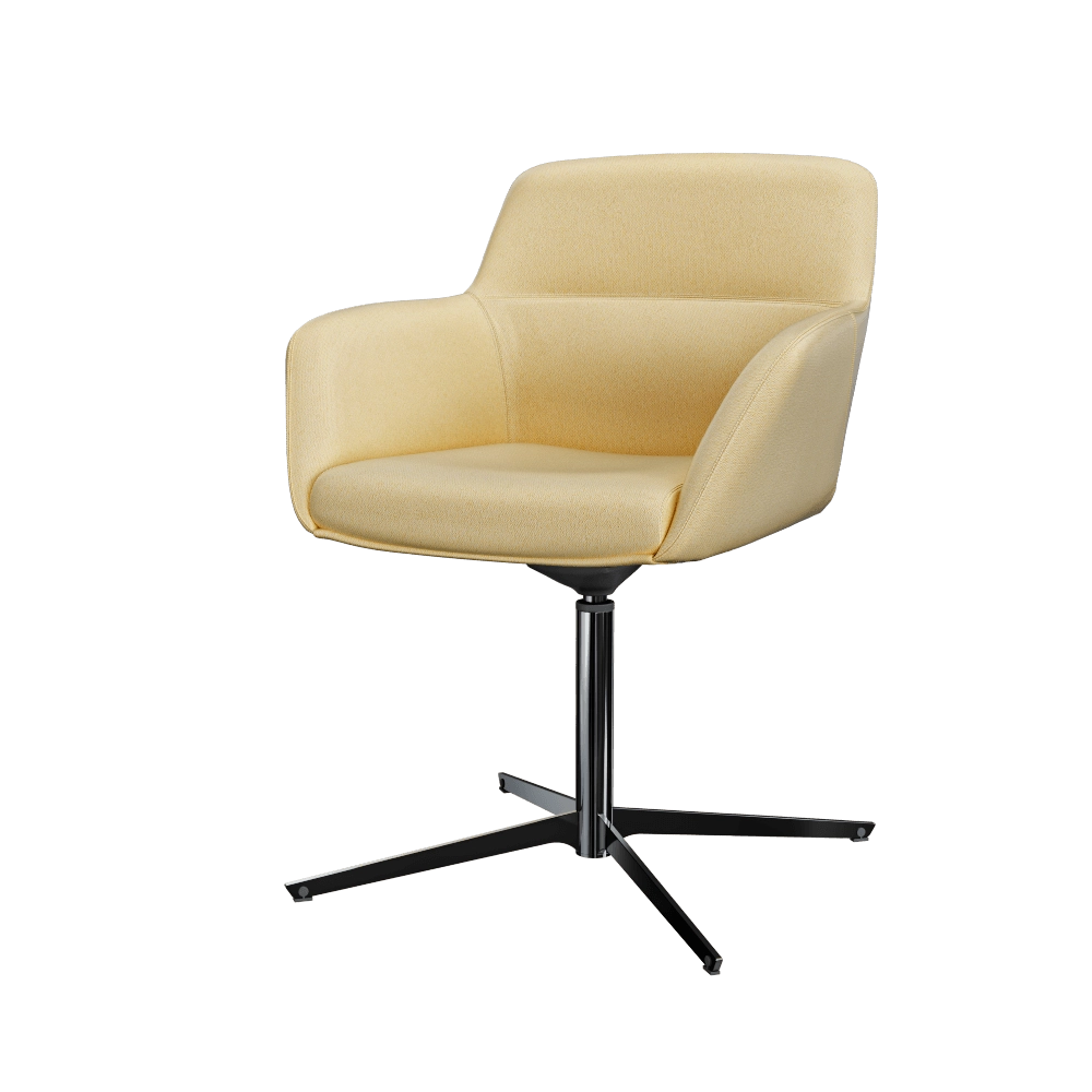 Sitia - Darwin 4-star 3D Model