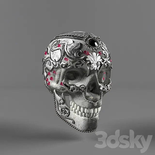skull 3D Model