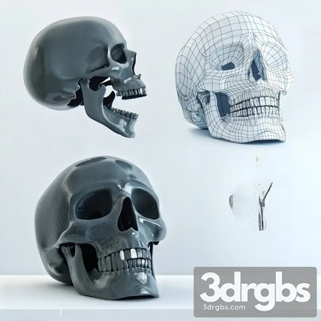 Skull Statue 3D Model Free