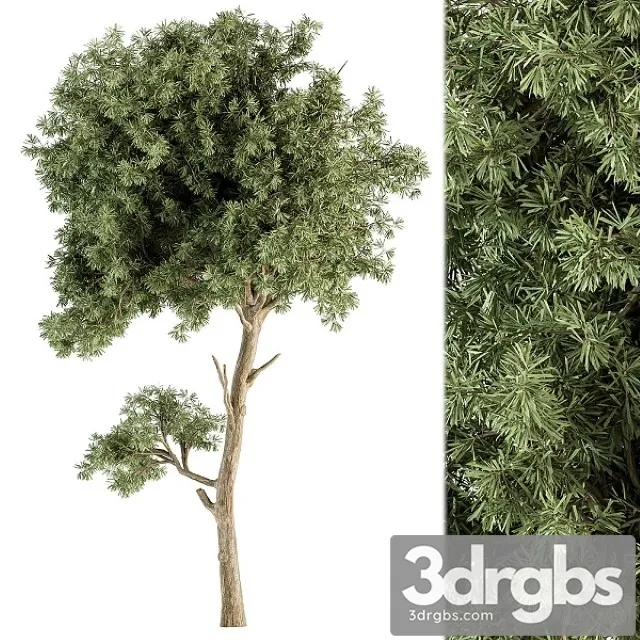 Small Tree Green Maple Needle Set 71 3D Model Free