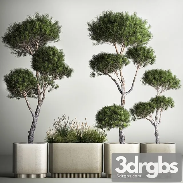 Small Trees in Pots Pine Topiary Field Flowers Bush Kovil Grass Collection Plants 1177 3D Model Free