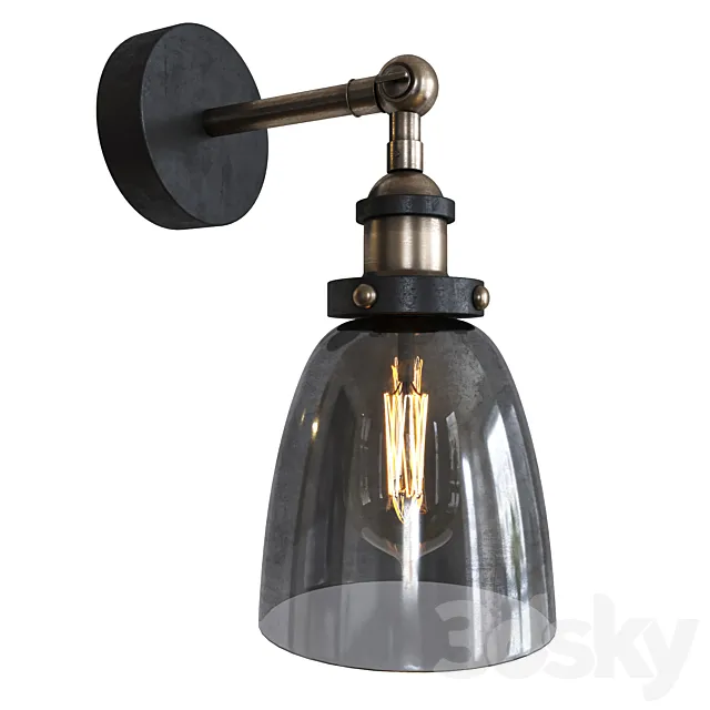 Smoke Glass cloche Wall Lamp 3D Model