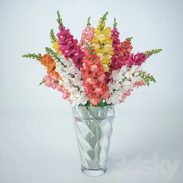 Snapdragon (Antirrinum) 3DModel