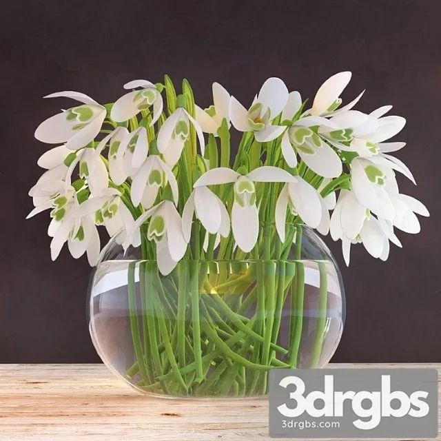 Snowdrops In A Vase 1 3D Model Free