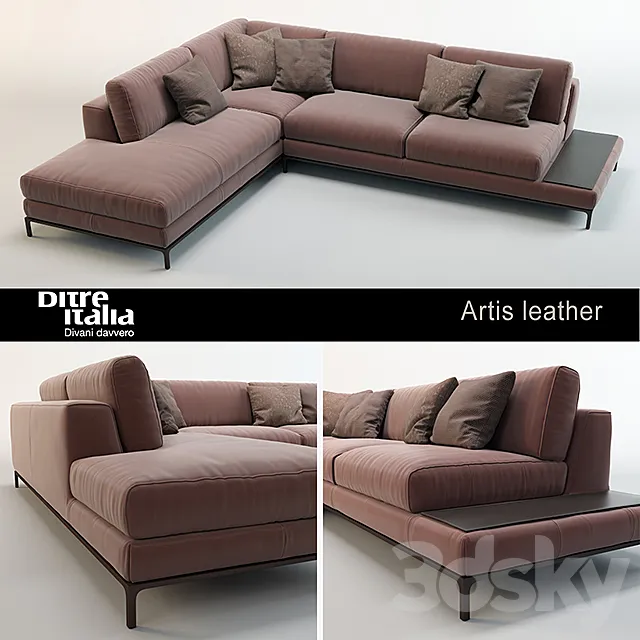 Sofa Artis Leather _ Ditre Italia 3D Model