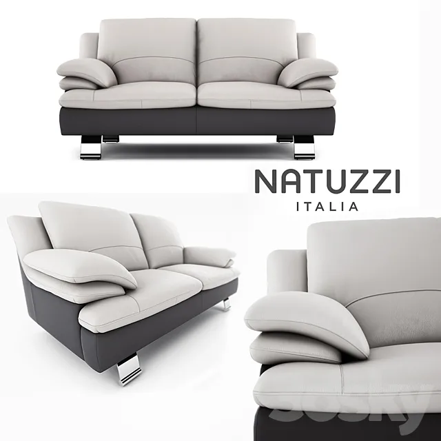Sofa Natuzzi 3D Model