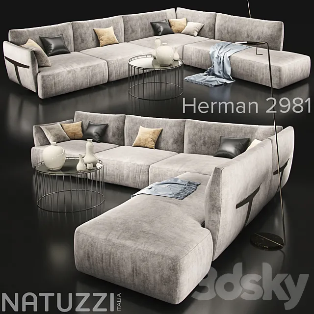 Sofa_natuzzi_herman 2981 3DModel