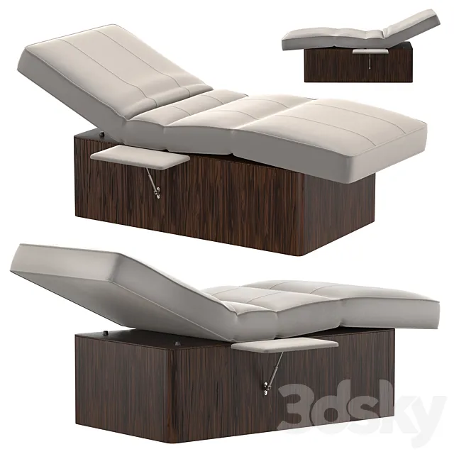 Somil Electric Spa Relaxation Lounger 3D Model