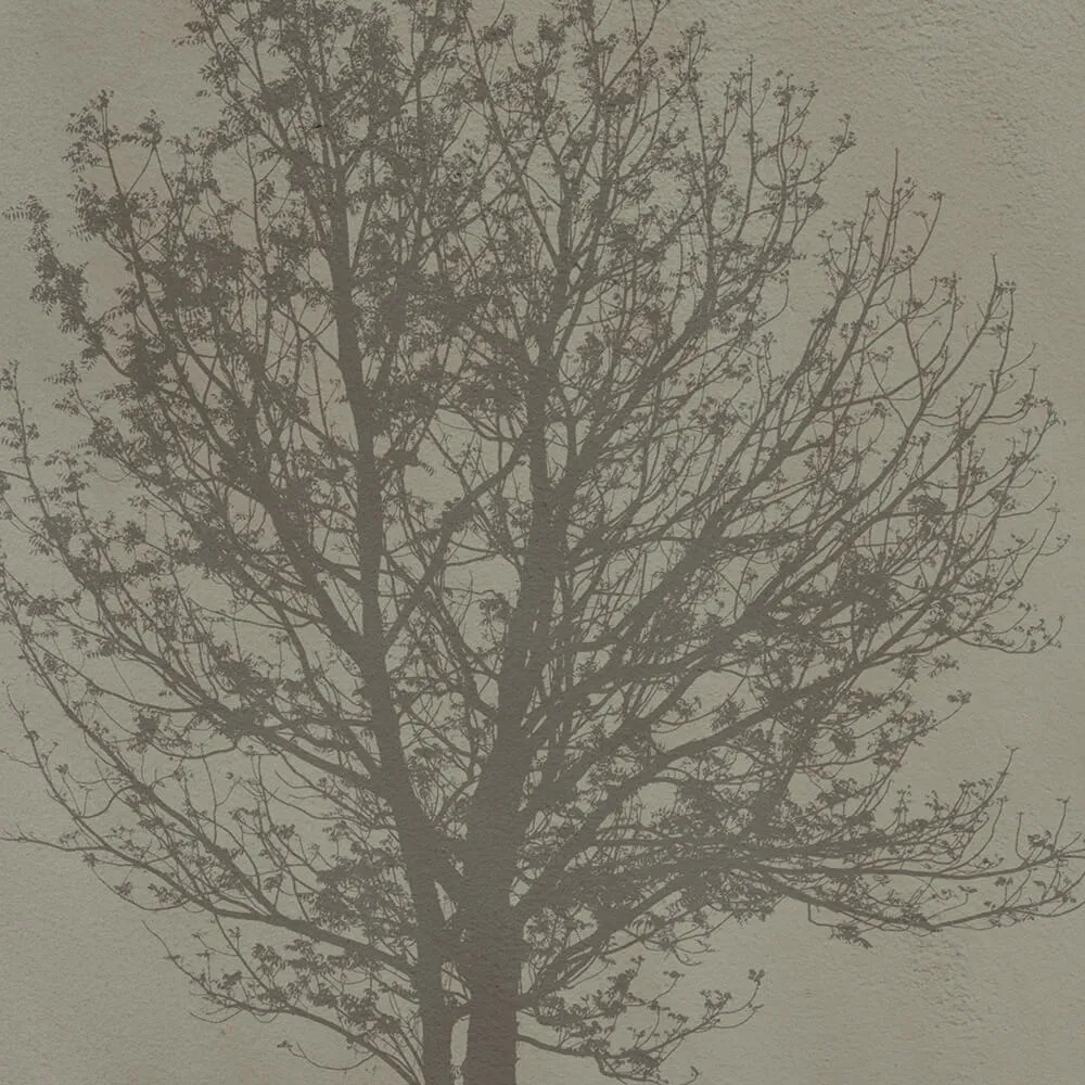 Spaghetti Wall  - Wallpaper A Tree WPN 406 3D Model