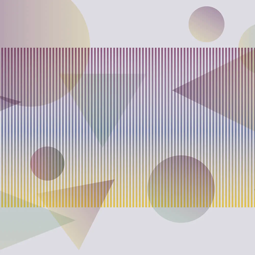 Spaghetti Wall  - Wallpaper Circles and Triangles WPN 135 3D Model