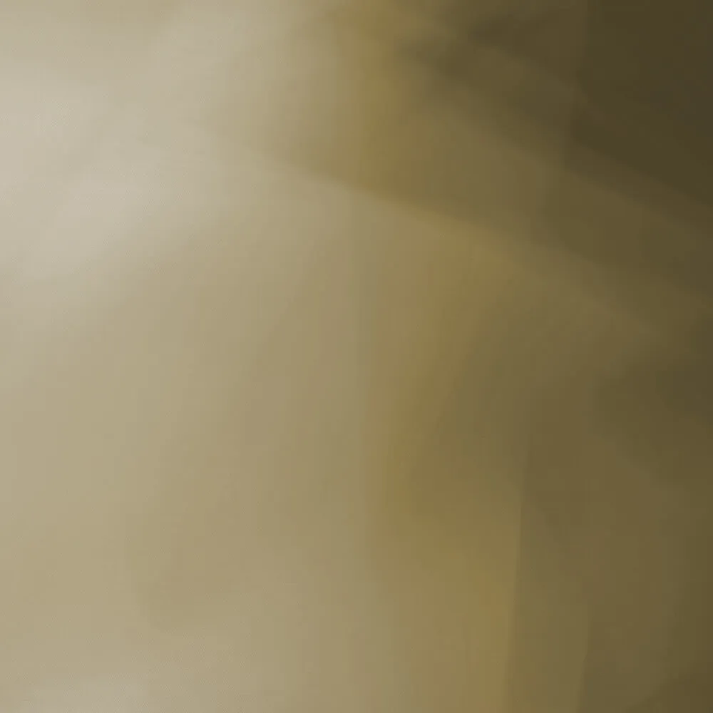 Spaghetti Wall  - Wallpaper Innuendo WPN 904 3D Model