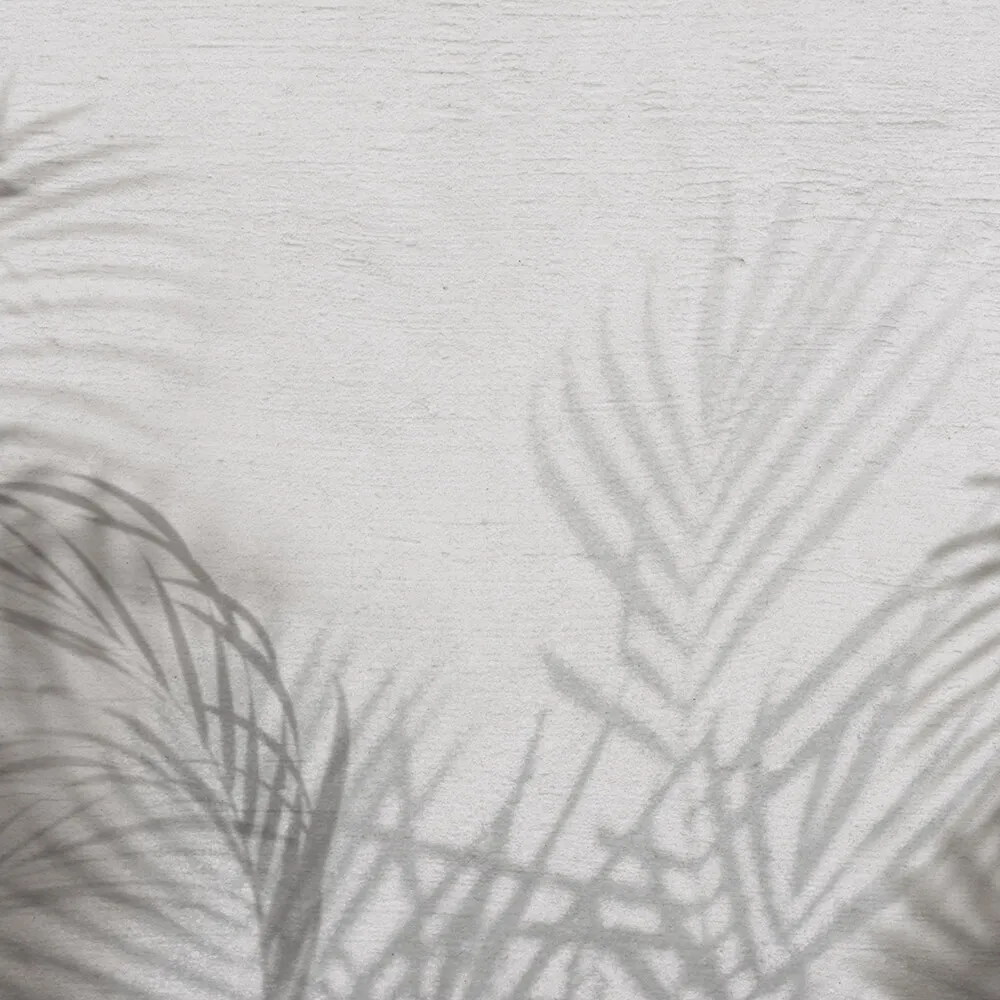 Spaghetti Wall  - Wallpaper Shadows WPN 405 3D Model