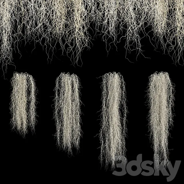 Spanish moss 3D Model