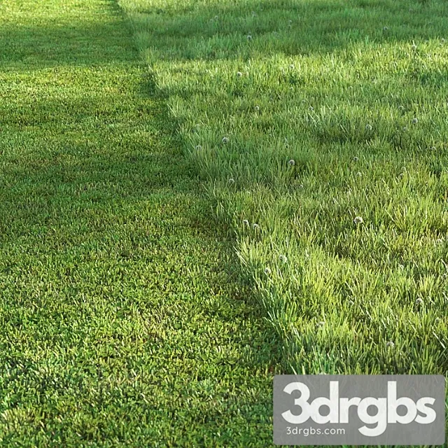 Sports Lawn 3D Model Free