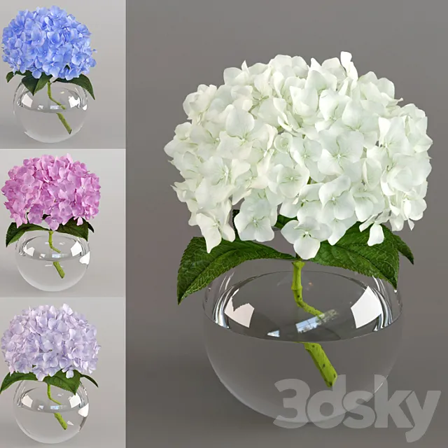Spray the hydrangea 3DModel