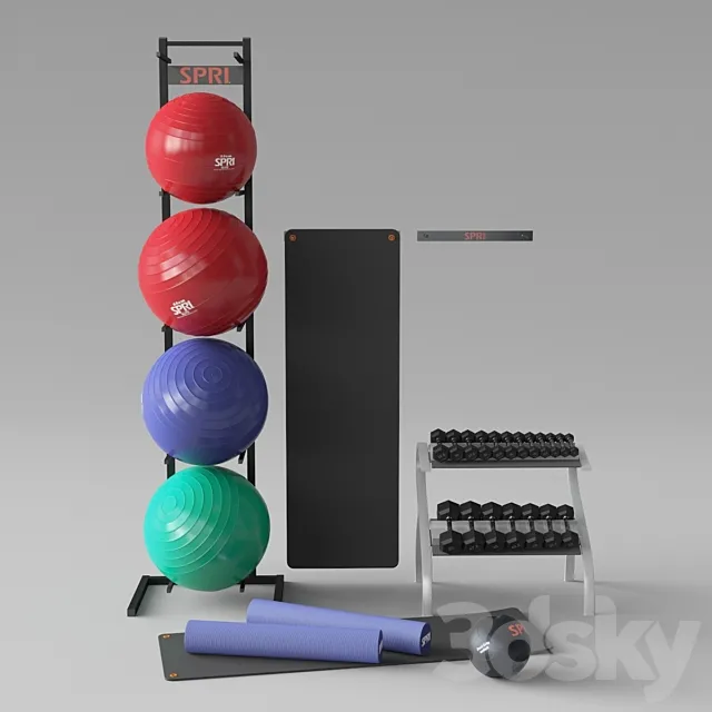 SPRI sports equipment 3D Model