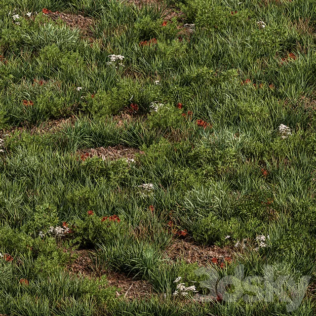 Spring Grass – Grass Set 07 3D Model