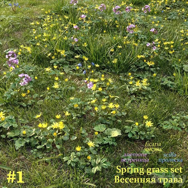 Spring grass set #1 3D Model