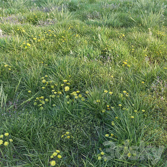 Spring grass with dandelions 3D Model