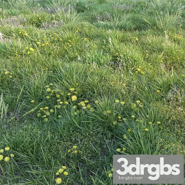 Spring Grass with Dandelions 3D Model Free