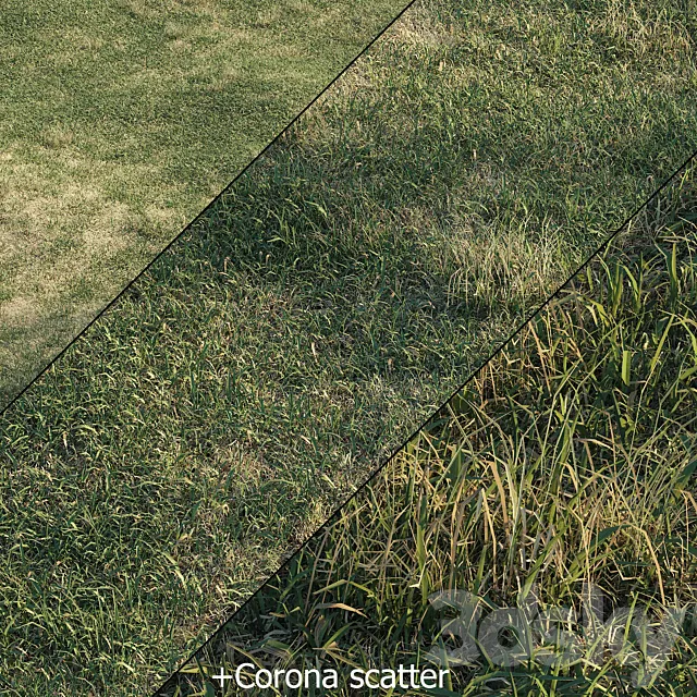 Spring meadow | grass 3D Model