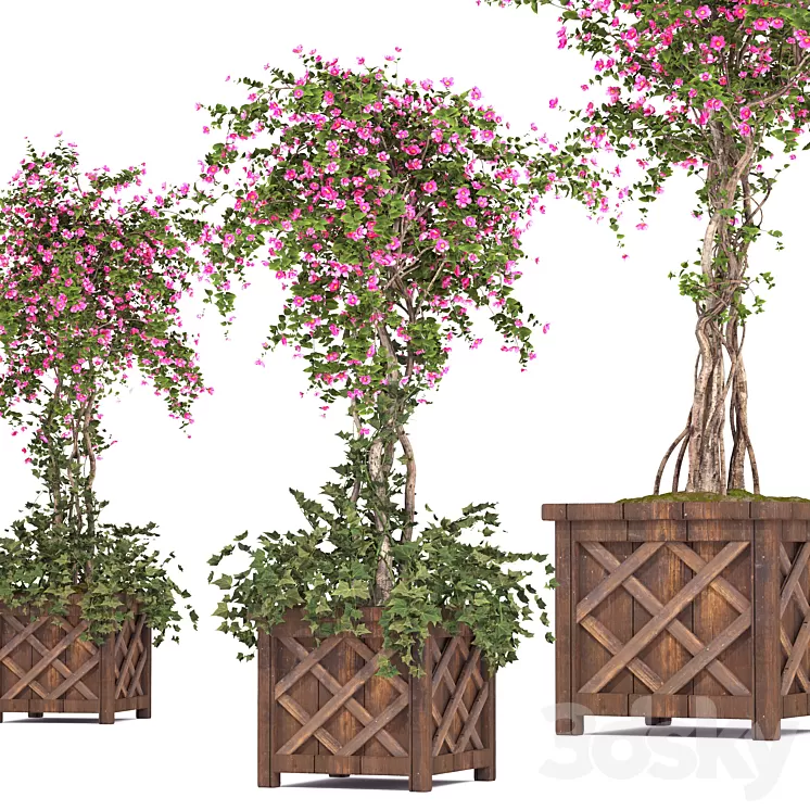 spring outdoor plants 03