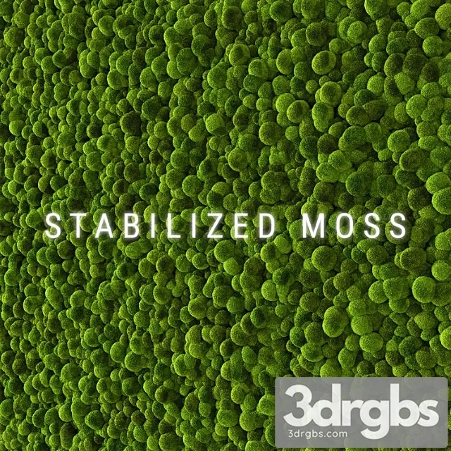 Stabilized Moss 2 3D Model Free