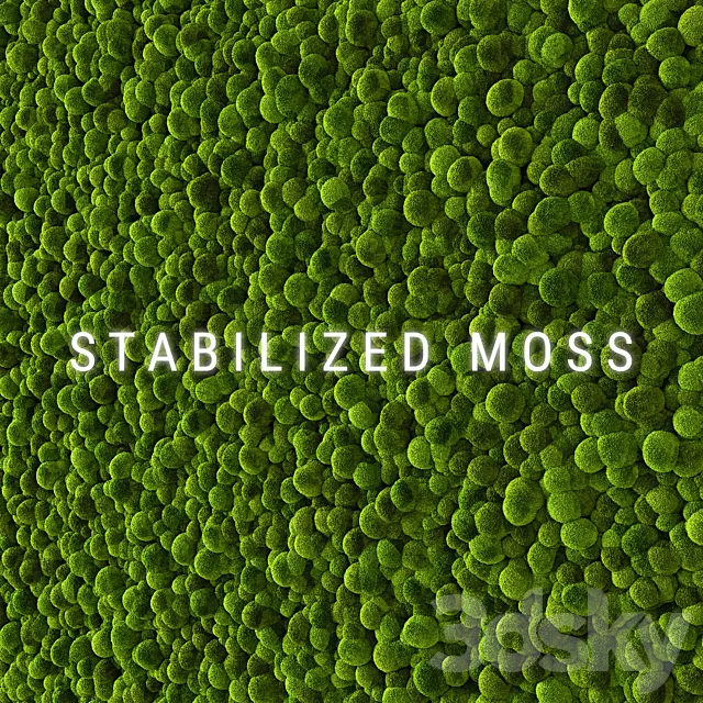 Stabilized Moss 2 3D Model