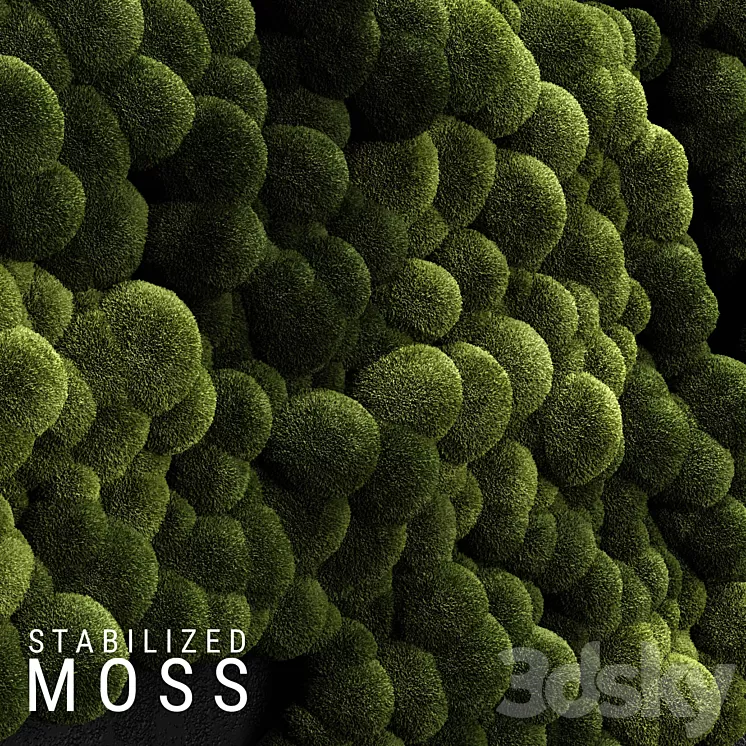 Stabilized Moss 3 3D Model