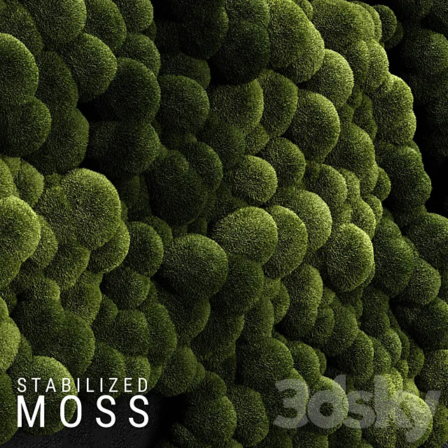 Stabilized Moss 3 3DModel