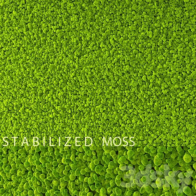 Stabilized Moss 3D Model