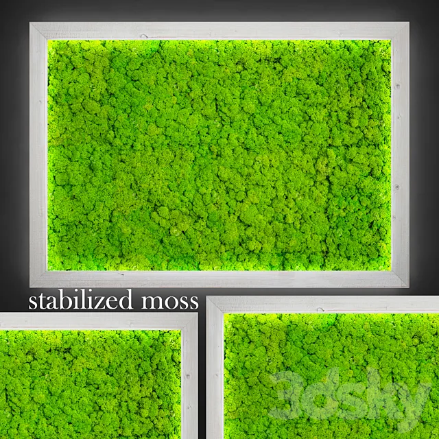 Stabilized moss. 3DModel