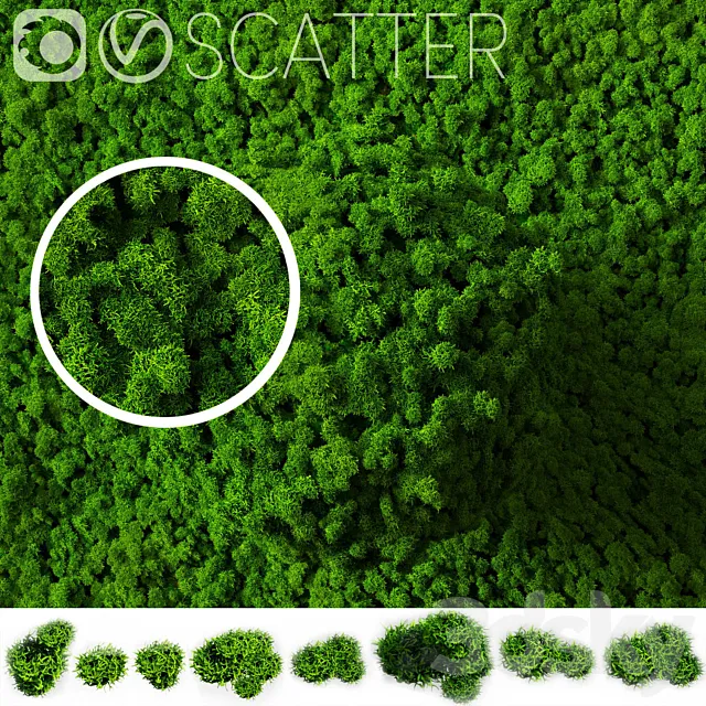 stabilized moss for scatter 3DModel