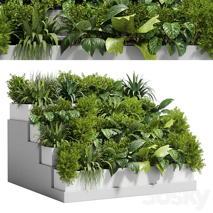 Stairs plant - Collection outdoor indoor plant 78 concrete vase pot fern bush grass 3D Model Free