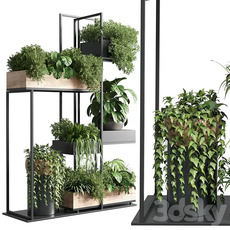 stand plant box - collection Indoor plant 217 wooden 3D Model Free